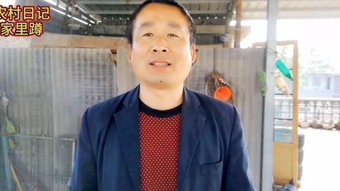 凯尔经的秘密 视频海报