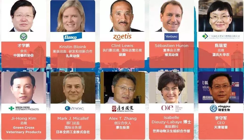 世界 视频缩略图