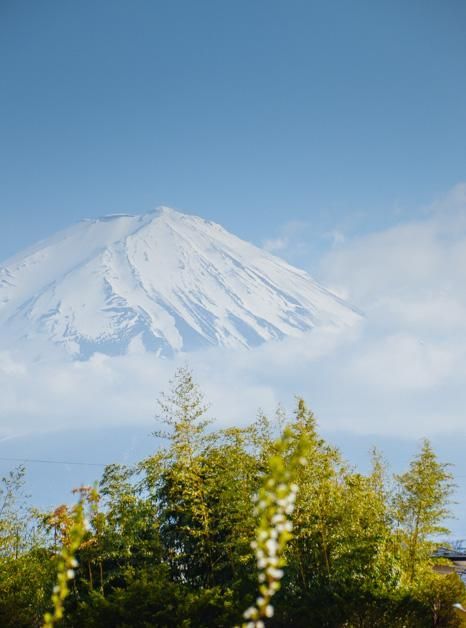 农场小牛牛：愚人节 视频缩略图