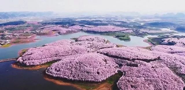 三次元女友 视频海报