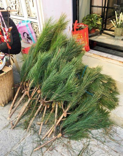 元洲街王后 视频缩略图