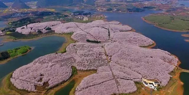 冷血十三鹰 冷血十三鷹 视频缩略图