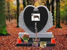 冒牌搭档 视频海报