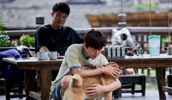 丛林 视频缩略图