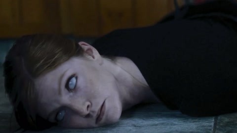 与此同时的地球 视频缩略图