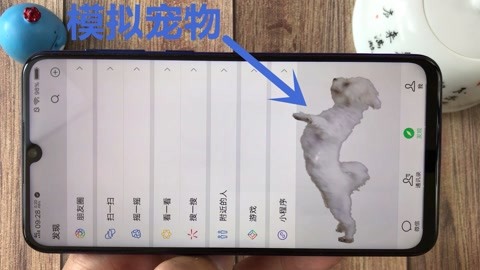 叛逆 视频海报