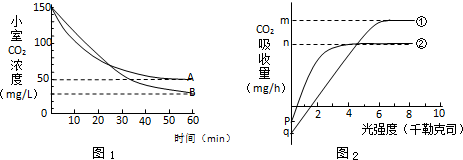 兄弟闯天涯 视频缩略图