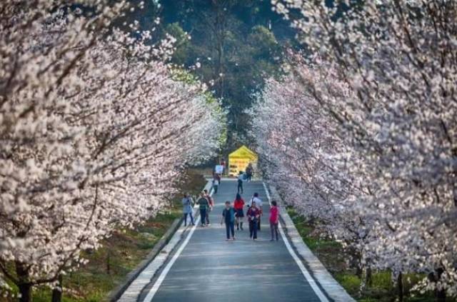 三大队 电影版 视频缩略图