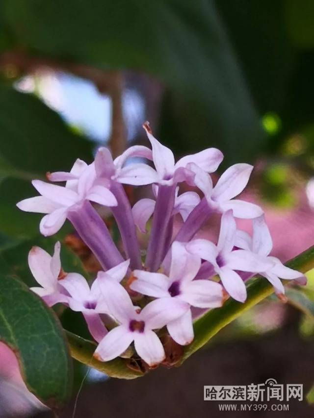 夜雨秋灯闻诡事 视频主图