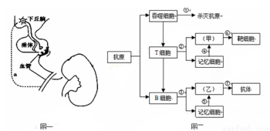 偷来的人生 视频缩略图