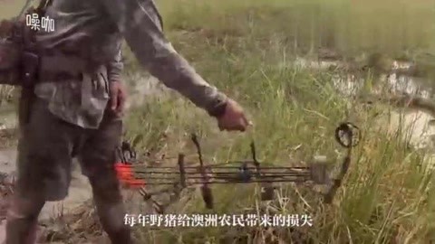 冰路营救 视频海报