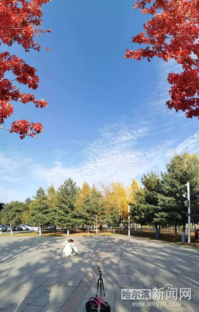 农场小牛牛：愚人节 视频缩略图