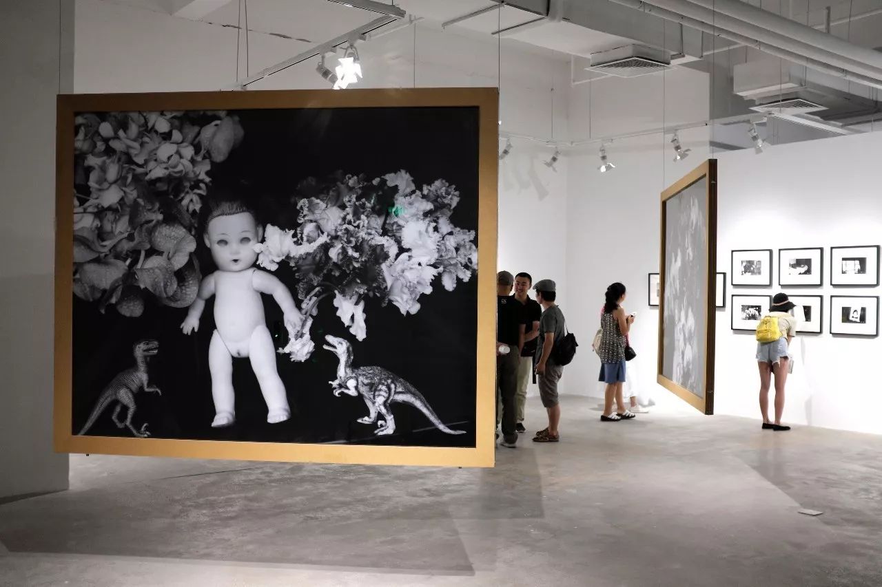 冽之花 视频海报