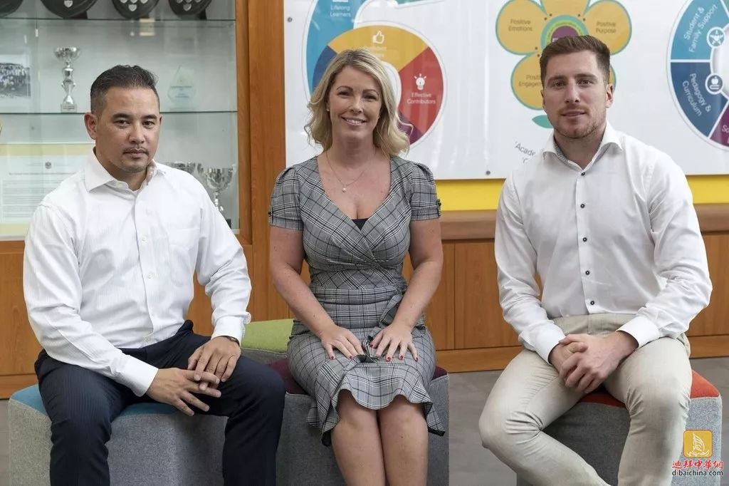 凶猫 兇貓 视频海报