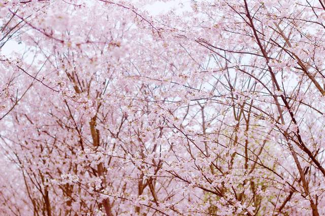 唐小小的魔法天台 视频缩略图