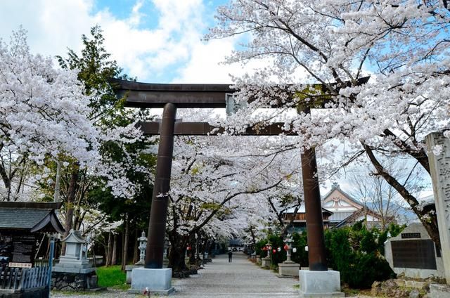 四平青年之喋血曼谷 视频缩略图