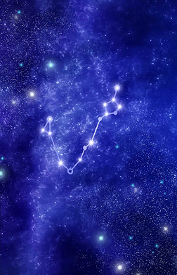 丛林大反攻3 视频主图