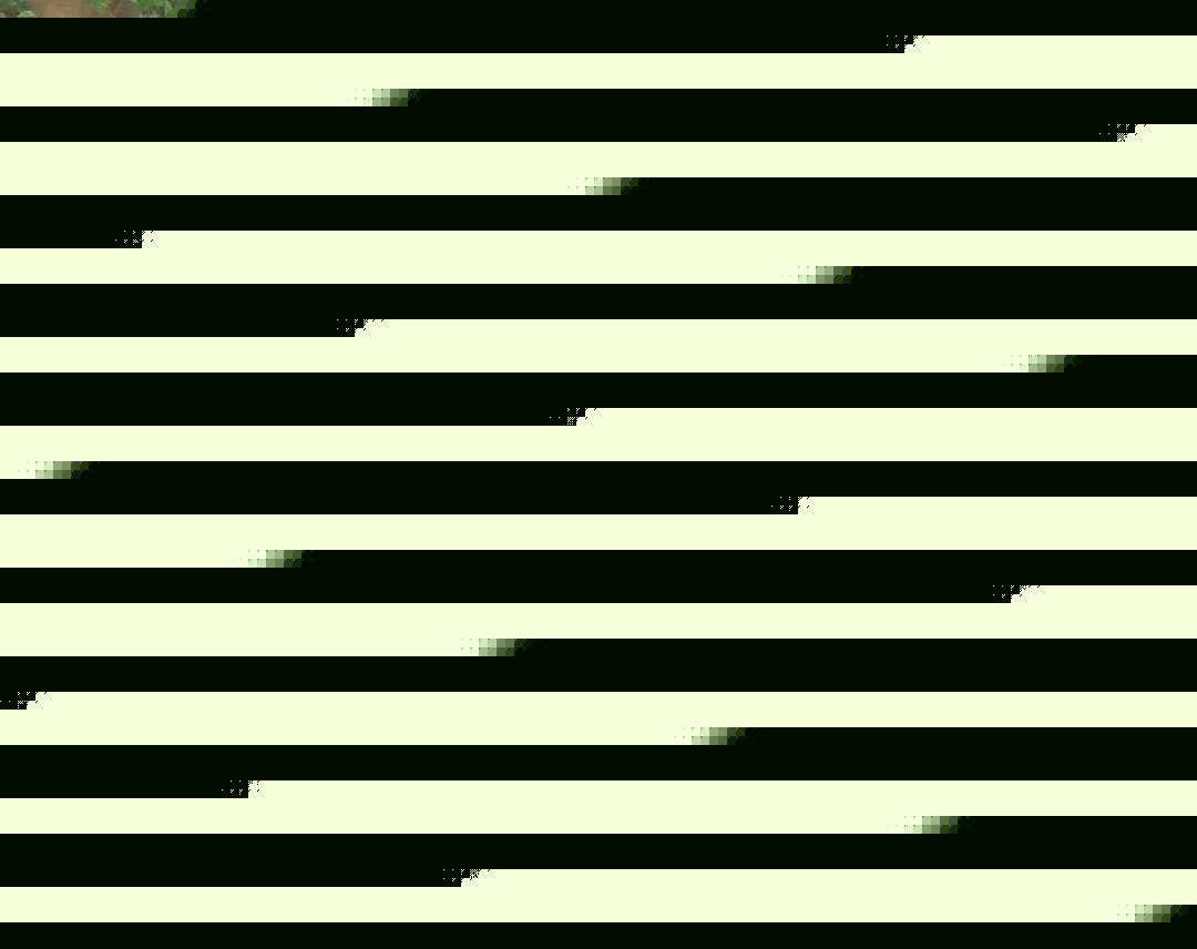 僵尸高校2 视频缩略图