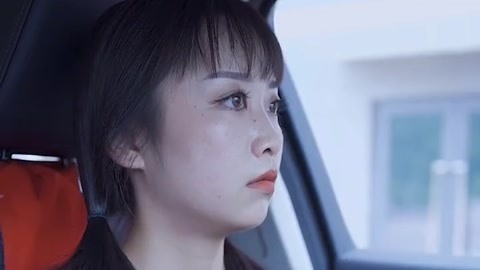 叶问2：宗师传奇 视频缩略图