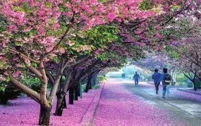 偷情别墅 视频主图