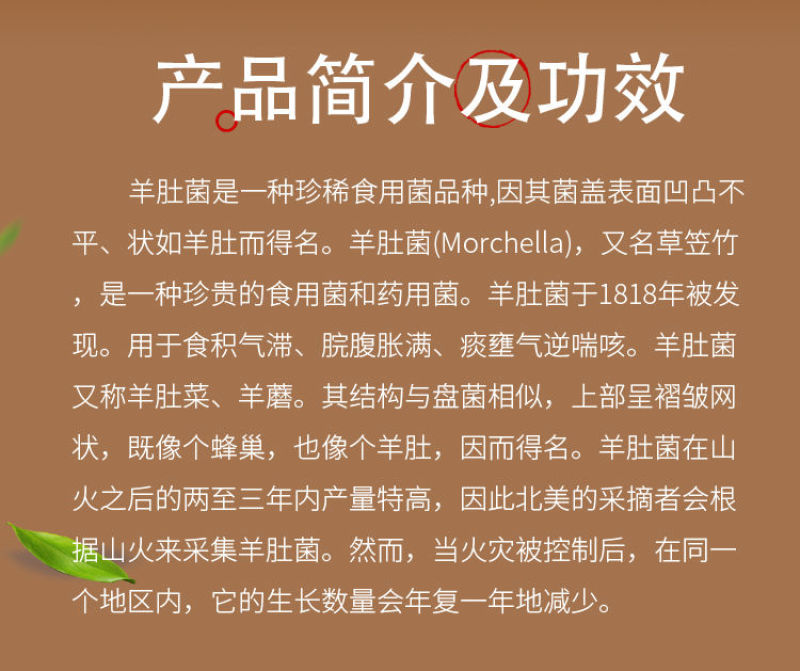 偷天换爱 视频缩略图