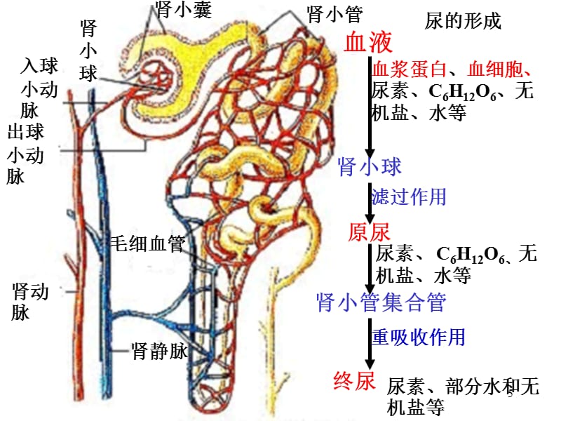 圣诞之星 视频缩略图